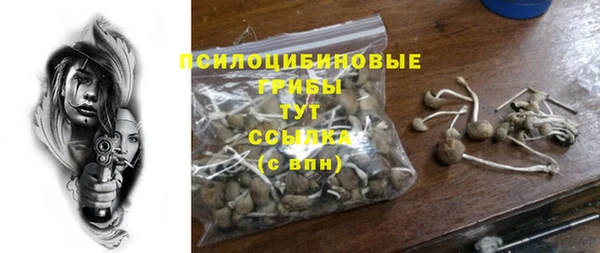 прущий лед Арсеньев